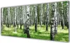 Acrylglasbilder 125x50 Wandbild Druck Wald Natur Produktbild-Vorschau 1