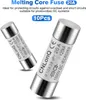 Two cylindrical fuses are shown against a light gray and white background. Text overlays describe the product. Náhled obrázku produktu
