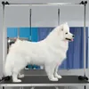TRMLBE Trimmtisch für Hunde Katzen Tierpflegetisch Produktbild-Vorschau 7