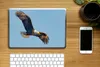 MuchoWow® Laptop Aufkleber Sticker Cover Vogel - Seeadler - Produktbild-Vorschau 2