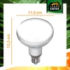 Terra Exotica D3 UV Heat Spot Reptilienlampe 125W, fördert Produktbild-Vorschau 4