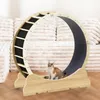 GTPLAYER looprad voor katten, extra groot (100 cm), Productafbeelding-voorbeeld 9