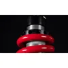 BITUBO XZE 01 Federbein Motorrad Mono rot Speed Triple 885i Produktbild-Vorschau 3