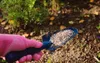 Herbstdünger für Nadelbäume Granulat 3 kg Produktbild-Vorschau 3