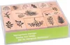 HEYDA Motivstempel-Set "Zweige" in Klarsicht-Box 16 Stempel Produktbild-Vorschau 1