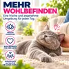 Litière agglomérante Calitti pour chats, à base de Voir les images du produit 6
