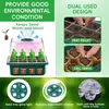 A collage of images showcasing a seed starting tray with a grow light and humidity adjustment window, along with close-ups of different seed starting methods. Náhled obrázku produktu