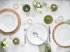 CreaTable, 24325, Maria Theresia Platin, Tellerset 18-tlg, Produktbild-Vorschau 3