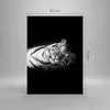 Bilder auf glas - Einteilig - Weiß Tiger Schwarz und Weiß - Produktbild-Vorschau 3