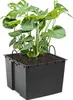 Plantztopf-Einsatz austauschbarer quadratischer 34x28 cm Produktbild-Vorschau 6