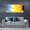 Acrylglasbilder 125x50 Wandbild Druck Blütenblätter Produktbild-Vorschau 3