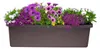 Plastia Pflanzkübel Berberis TRIO bra, A33616 Produktbild-Vorschau 4