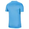 Nike Herren Dry-Fit Park 7 Jersey - BV6708 , Farbe:Halo Produktbild-Vorschau 2
