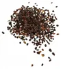 Semena Eucalyptus Gunnii - balení 10 ks - Exotická semena - Náhled obrázku produktu 2