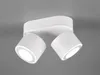 A white ceiling light with two adjustable spotlights is shown against a light gray background. Anteprima dell’immagine prodotto