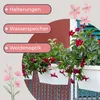 A close-up of a white balcony planter filled with red flowers and green foliage, with text overlays describing features. Produktbild-Vorschau