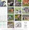 Alpha Edition - Tierbabys Kalender 2026 - Wandkalender Produktbild-Vorschau 2