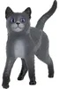 Schleich 14912 - Tomcat - Scuola di animali magici Anteprima dell’immagine prodotto 2