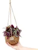 Kokodama – Tradescantia zebrina v závěsném květináči Náhled obrázku produktu 2
