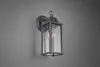 A dark gray outdoor wall lantern with a glass enclosure is mounted on a light gray wall. Voir les images du produit