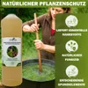 GreenPanda Acker-Schachtelhalm Jauche/Sud 3 Liter -  Dünger Produktbild-Vorschau 4