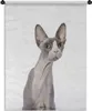 MuchoWow® Wandteppich Wandbehang Überrascht Sphynx auf Produktbild-Vorschau 1