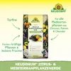 Neudorff NeudoHum Zitrus- & MediterranpflanzenErde 40L Produktbild-Vorschau 2