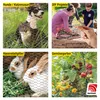 horizont Maschendrahtzaun | verzinkt | Maschenweite 13 x 25 Produktbild-Vorschau 2