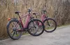 Two red electric trekking bikes are parked next to a path with tall dry grass in the background. Produktbild-Vorschau