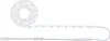 Paulmann SimpLED Power LED Strip Neutralweiß Komplettset Produktbild-Vorschau 3