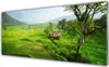 Acrylglasbilder 125x50 Wandbild Druck Wiese Natur Produktbild-Vorschau 1