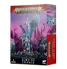 Warhammer Age of Sigmar Disciples of Tzeentch Lord of Produktbild-Vorschau 1