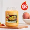 Yankee Candle Mango Peach Salsa Duftkerze 623 g Produktbild-Vorschau 18