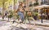 Milord Komfort Fahrrad Mit Weidenkorb Damenfahrrad, 26 Produktbild-Vorschau 5