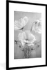 MuchoWow® Gerahmtes Poster Stilleben - Blumen - Schwarz und Produktbild-Vorschau 1
