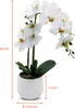 3.03 Kunstorchidee in witte pot - ongeveer 50 cm - Productafbeelding-voorbeeld 2