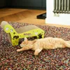 A cat is sleeping on a colorful rug next to a cardboard cat scratching post. Podgląd zdjęcia produktu