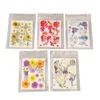 Five clear plastic pouches, each containing a collection of dried, pressed flowers arranged on white paper. Náhled obrázku produktu