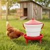 Agrarzone Wiadro do pojenia drobiu z nóżkami, czerwone, 10 Podgląd zdjęcia produktu 7