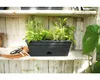 Balkonkasten Elho Mini Kunststoff 29,6 x 11,5 x 11 cm Produktbild-Vorschau 3