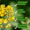 Samenshop24® Futterraps / Winterraps, Bodenkur & Produktbild-Vorschau 3