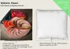 Wallario Premium Kissen, weiche Oberfläche, mit Motiv Produktbild-Vorschau 2