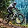 Bicicleta eléctrica CF500 para terrenos difíciles, 48 V, 20 Vista previa de la imagen del producto 15
