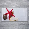 Acrylglasbilder 120x60 Wandbild Druck Seestern Muschel Produktbild-Vorschau 2