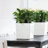 LECHUZA CUBE 30, Sadzarka w doniczce, Wolnostojący, Podgląd zdjęcia produktu 7