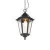 Klasyczna lampa wisząca zewnętrzna czarna IP44 - Havana Up Podgląd zdjęcia produktu 1
