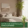 Meisterhome Kunstpalme XXL 250 cm – Extra große Tropische Produktbild-Vorschau 4