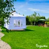 Nasiona trawy do boisk Resilient – 10 kg = 500 m² – nasiona Podgląd zdjęcia produktu 7