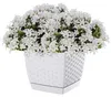 Ratolla Quadratischer Blumentopf - Weiss - Pp-Drlk220B Produktbild-Vorschau 5