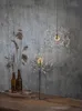 Two starburst LED lights are displayed in a rustic setting with dried reeds and brown bottles. Produktbild-Vorschau